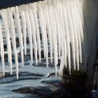 ICICLES 01